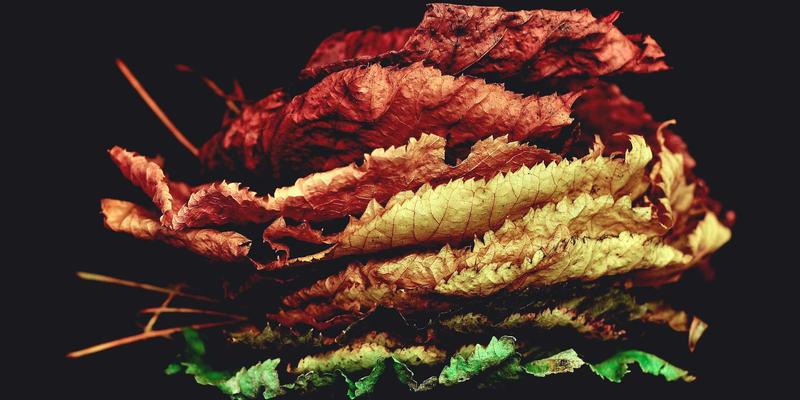 AWSXY云服务赋能：解锁云原生Serverless架构的核心模式与商业解决方案