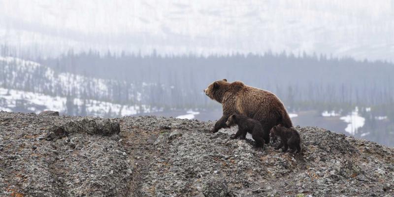 云安全态势管理（CSPM）最佳实践：如何利用大数据持续识别与修复AWS等跨云配置错误