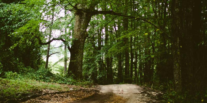 构建可扩展基础设施：大数据时代云服务中断的应急响应与业务连续性保障方案