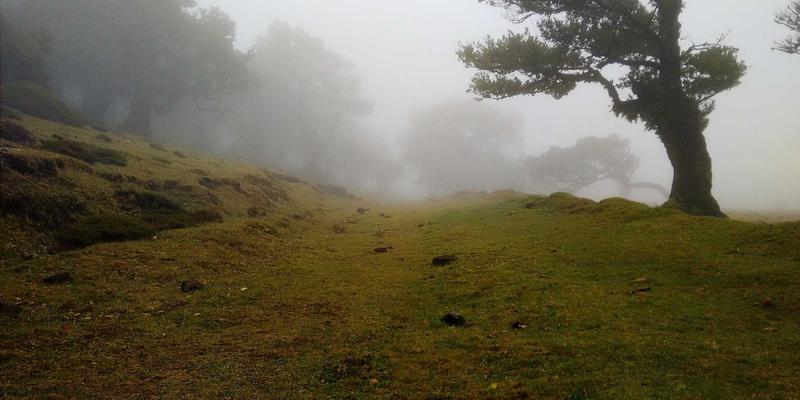构建基于容器的云原生DevSecOps流水线：驱动大数据分析与商业解决方案的引擎